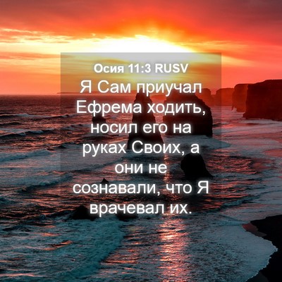 Picture 04 - Осия 11:3 RUSV - Я Сам приучал Ефрема - Bible Verse Picture