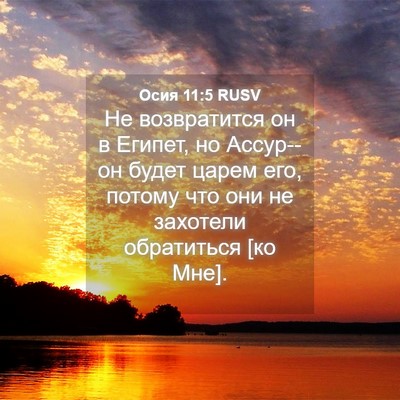 Picture 04 - Осия 11:5 RUSV - Не возвратится он в Египет, - Bible Verse Picture
