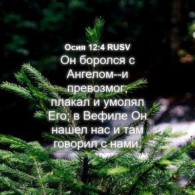 Picture 04 - Осия 12:4 RUSV - Он боролся с Ангелом--и - Bible Verse Picture