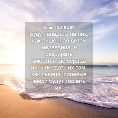 Picture 04 - Осия 13:8 RUSV - Буду нападать на них, как - Bible Verse Picture
