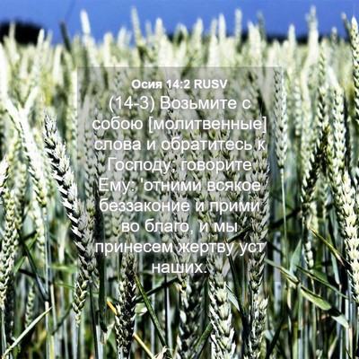 Picture 04 - Осия 14:2 RUSV - (14-3) Возьмите с собою - Bible Verse Picture