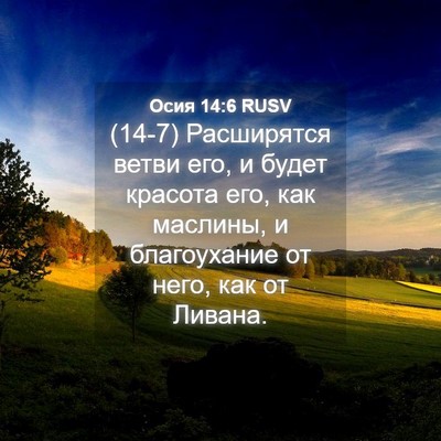 Picture 04 - Осия 14:6 RUSV - (14-7) Расширятся ветви его, и - Bible Verse Picture