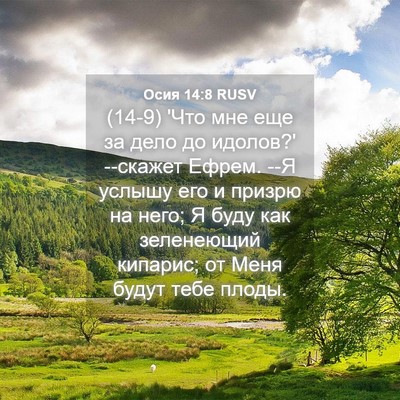 Picture 04 - Осия 14:8 RUSV - (14-9) 'Что мне еще за дело до - Bible Verse Picture