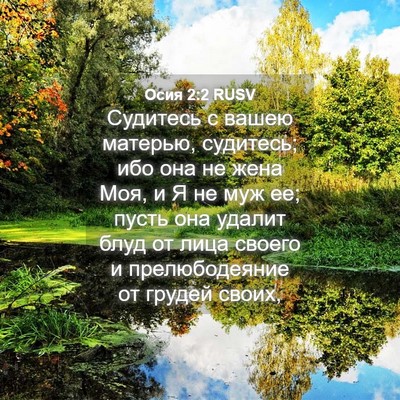 Picture 04 - Осия 2:2 RUSV - Судитесь с вашею матерью, - Bible Verse Picture