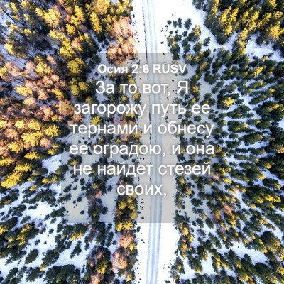 Picture 04 - Осия 2:6 RUSV - За то вот, Я загорожу путь - Bible Verse Picture