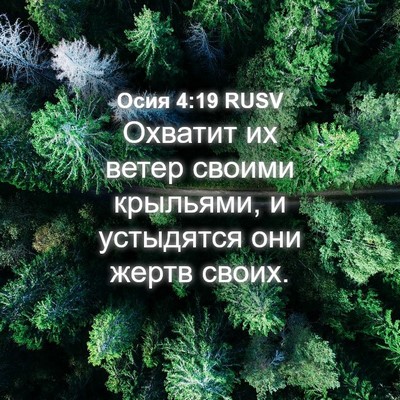 Picture 04 - Осия 4:19 RUSV - Охватит их ветер своими - Bible Verse Picture