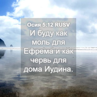 Picture 04 - Осия 5:12 RUSV - И буду как моль для Ефрема - Bible Verse Picture
