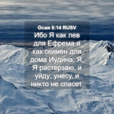 Picture 04 - Осия 5:14 RUSV - Ибо Я как лев для Ефрема и - Bible Verse Picture
