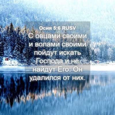 Picture 04 - Осия 5:6 RUSV - С овцами своими и волами - Bible Verse Picture
