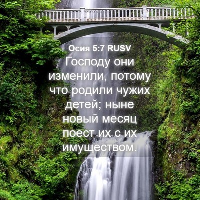 Picture 04 - Осия 5:7 RUSV - Господу они изменили, - Bible Verse Picture