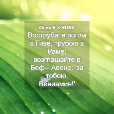 Picture 04 - Осия 5:8 RUSV - Вострубите рогом в Гиве, - Bible Verse Picture