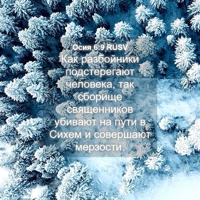 Picture 04 - Осия 6:9 RUSV - Как разбойники - Bible Verse Picture