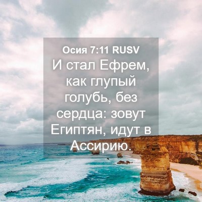 Picture 04 - Осия 7:11 RUSV - И стал Ефрем, как глупый - Bible Verse Picture