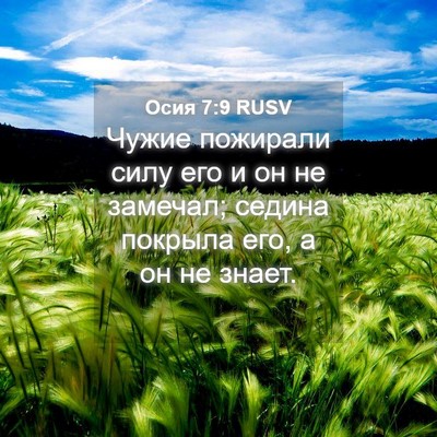 Picture 04 - Осия 7:9 RUSV - Чужие пожирали силу его и - Bible Verse Picture