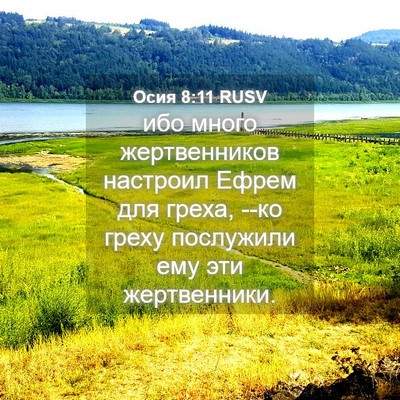 Picture 04 - Осия 8:11 RUSV - ибо много жертвенников - Bible Verse Picture