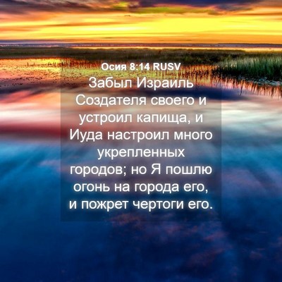 Picture 04 - Осия 8:14 RUSV - Забыл Израиль Создателя - Bible Verse Picture