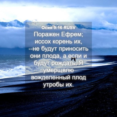 Picture 04 - Осия 9:16 RUSV - Поражен Ефрем; иссох - Bible Verse Picture