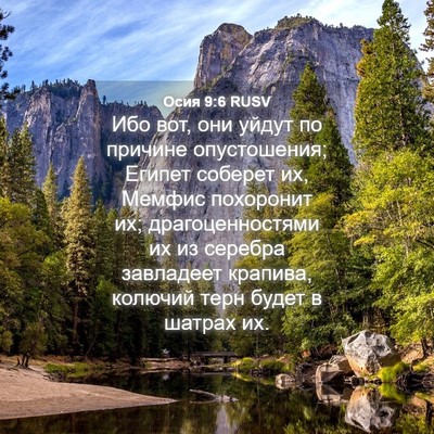 Picture 04 - Осия 9:6 RUSV - Ибо вот, они уйдут по - Bible Verse Picture