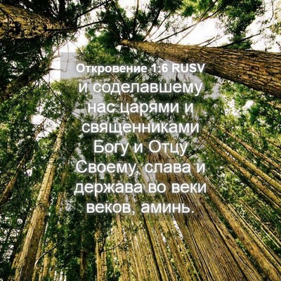 Picture 04 - Откровение 1:6 RUSV - и соделавшему нас царями и - Bible Verse Picture