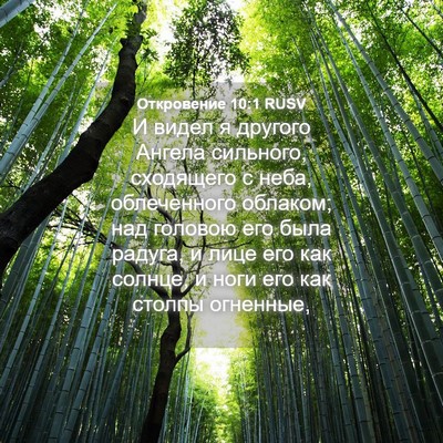 Picture 04 - Откровение 10:1 RUSV - И видел я другого Ангела - Bible Verse Picture