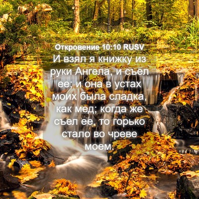 Picture 04 - Откровение 10:10 RUSV - И взял я книжку из руки - Bible Verse Picture