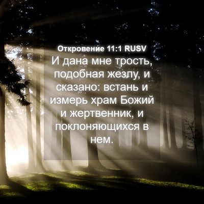 Picture 04 - Откровение 11:1 RUSV - И дана мне трость, подобная - Bible Verse Picture