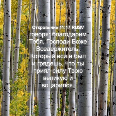 Picture 04 - Откровение 11:17 RUSV - говоря: благодарим Тебя, - Bible Verse Picture
