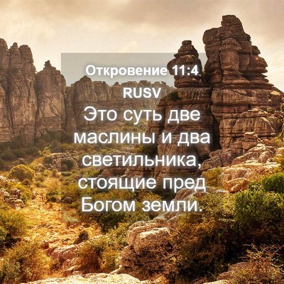 Picture 04 - Откровение 11:4 RUSV - Это суть две маслины и два - Bible Verse Picture