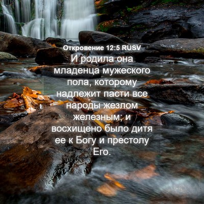 Picture 04 - Откровение 12:5 RUSV - И родила она младенца - Bible Verse Picture