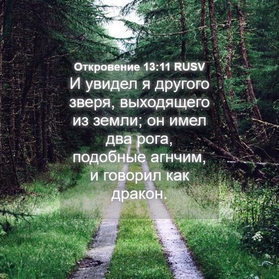 Picture 04 - Откровение 13:11 RUSV - И увидел я другого зверя, - Bible Verse Picture