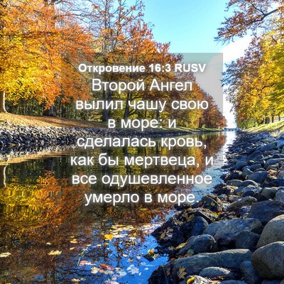 Picture 04 - Откровение 16:3 RUSV - Второй Ангел вылил чашу - Bible Verse Picture
