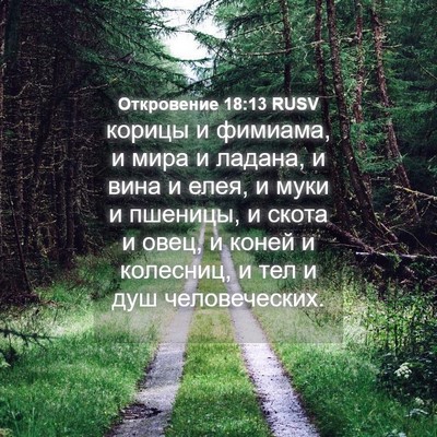 Picture 04 - Откровение 18:13 RUSV - корицы и фимиама, и мира и - Bible Verse Picture