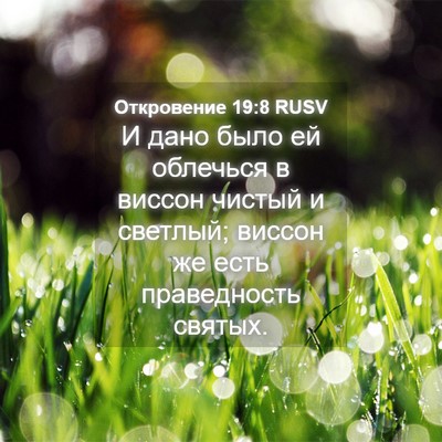Picture 04 - Откровение 19:8 RUSV - И дано было ей облечься в - Bible Verse Picture