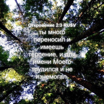 Picture 04 - Откровение 2:3 RUSV - ты много переносил и - Bible Verse Picture