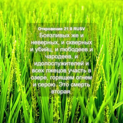 Picture 04 - Откровение 21:8 RUSV - Боязливых же и неверных, и - Bible Verse Picture