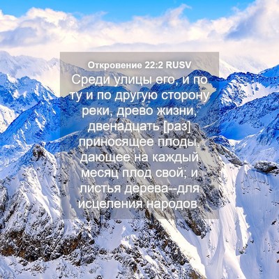 Picture 04 - Откровение 22:2 RUSV - Среди улицы его, и по ту и - Bible Verse Picture
