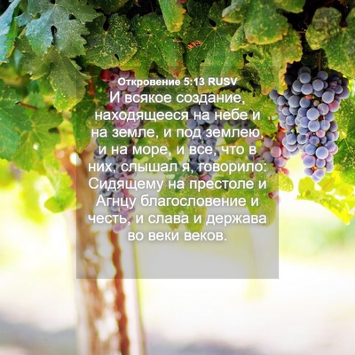 Picture 04 - Откровение 5:13 RUSV - И всякое создание, - Bible Verse Picture