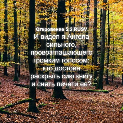 Picture 04 - Откровение 5:2 RUSV - И видел я Ангела сильного, - Bible Verse Picture