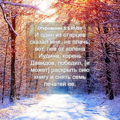 Picture 04 - Откровение 5:5 RUSV - И один из старцев сказал - Bible Verse Picture