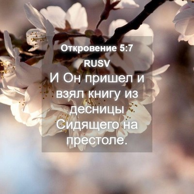 Picture 04 - Откровение 5:7 RUSV - И Он пришел и взял книгу из - Bible Verse Picture