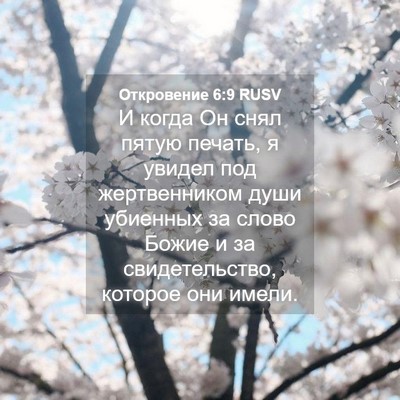 Picture 04 - Откровение 6:9 RUSV - И когда Он снял пятую - Bible Verse Picture