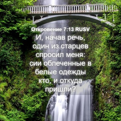 Picture 04 - Откровение 7:13 RUSV - И, начав речь, один из - Bible Verse Picture