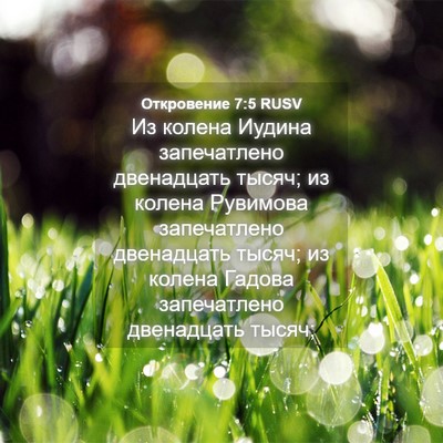 Picture 04 - Откровение 7:5 RUSV - Из колена Иудина - Bible Verse Picture