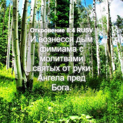 Picture 04 - Откровение 8:4 RUSV - И вознесся дым фимиама с - Bible Verse Picture