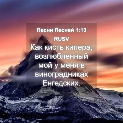 Picture 04 - Песни Песней 1:13 RUSV - Как кисть кипера, - Bible Verse Picture