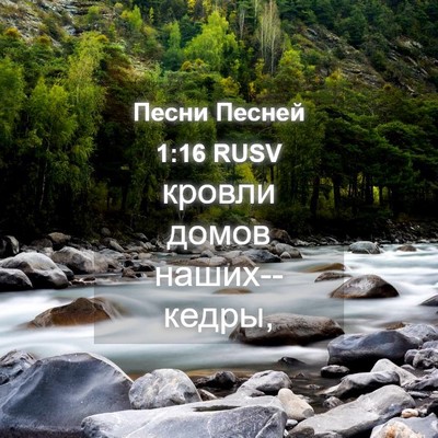 Picture 04 - Песни Песней 1:16 RUSV - кровли домов - Bible Verse Picture