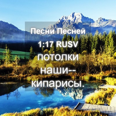 Picture 04 - Песни Песней 1:17 RUSV - потолки - Bible Verse Picture