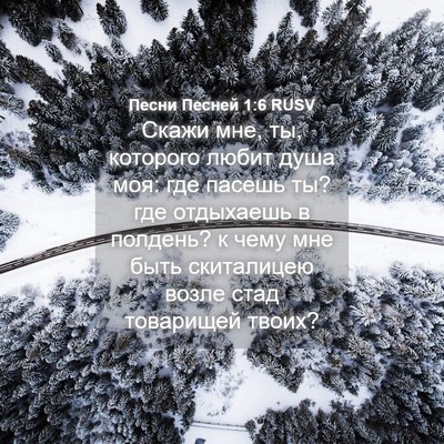 Picture 04 - Песни Песней 1:6 RUSV - Скажи мне, ты, которого - Bible Verse Picture