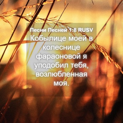 Picture 04 - Песни Песней 1:8 RUSV - Кобылице моей в колеснице - Bible Verse Picture