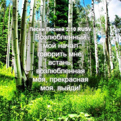 Picture 04 - Песни Песней 2:10 RUSV - Возлюбленный мой начал - Bible Verse Picture